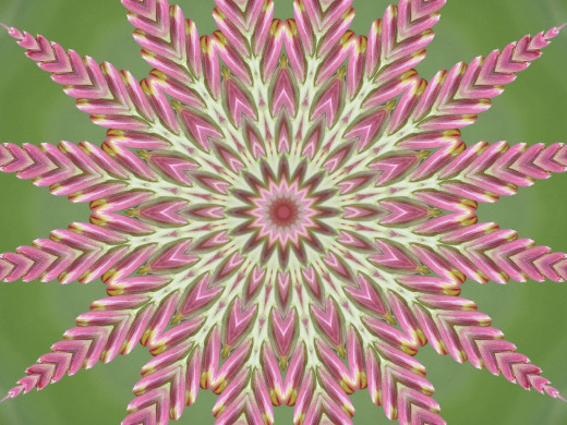 394265 (a): :2400x1800